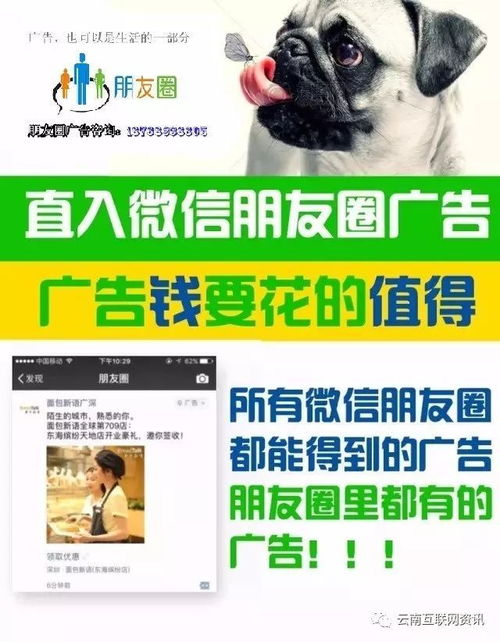 微信朋友圈广告代理 低门槛投资新机遇